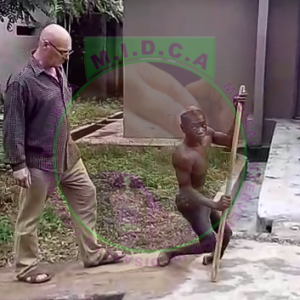 Julius Cerebal Palsy